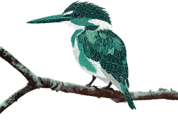 bird-tree-img