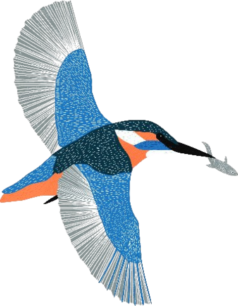 bird-img