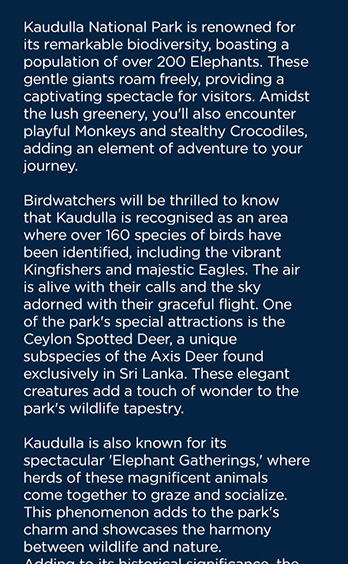 DIMO Lanka Calendar | September 2024