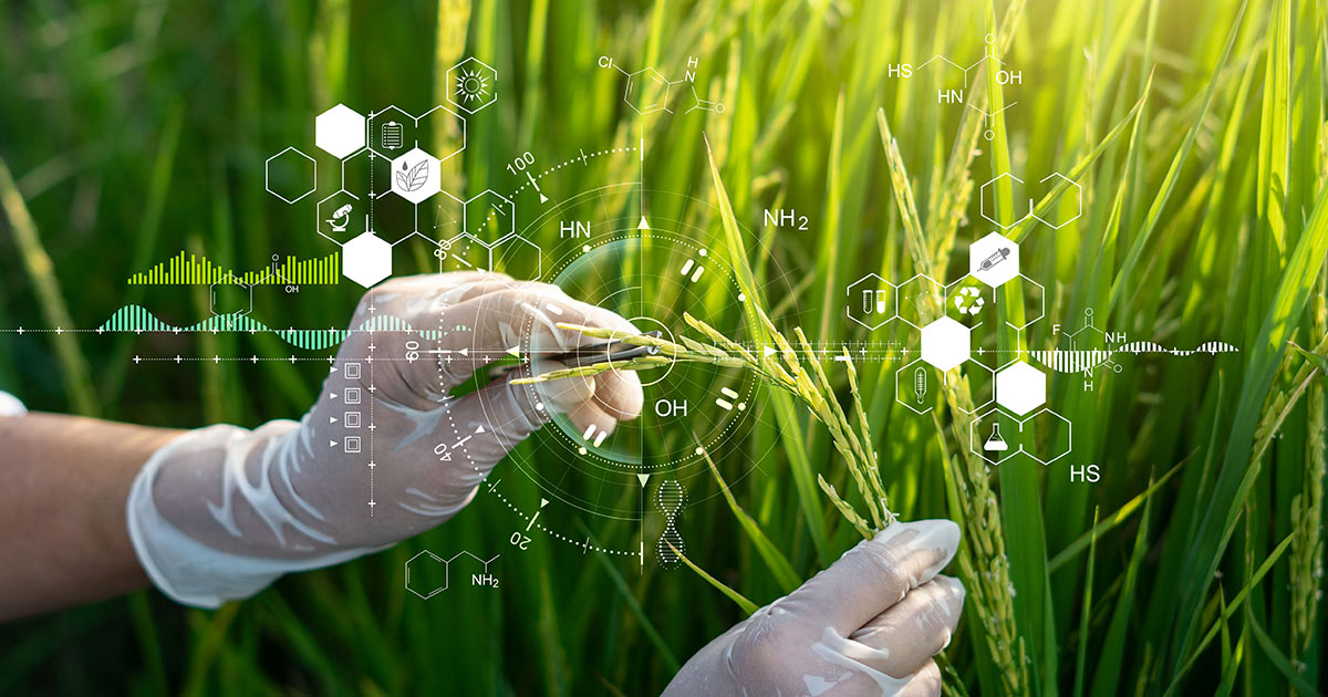 Fertilizer Development & Agricultural Research Services | DIMO